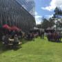 Lunch Market Elmpark
