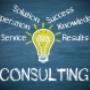 Business Consultant
