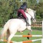 Kilcrea Equestrian Centre