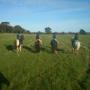 Kilcrea Equestrian Centre