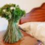 Uploaded by visitor on 17/01/2017 - Bayview House Bed and Breakfast