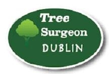 Tree Surgeon Dublin