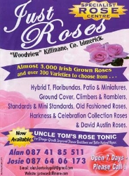 Just Roses
