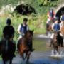 horse riding