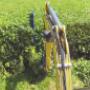 Hedge Trimming Cork