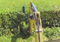 Hedge Trimming