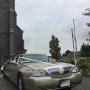 Uploaded by visitor on 11/04/2017