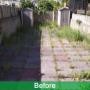 Weed control before