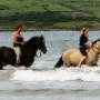 River Valley Stables