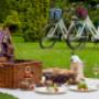 Picnic