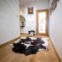 Uploaded by visitor on 06/06/2017 - Black and white cowhide rug