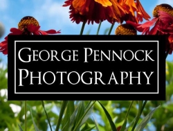 George Pennock Photography