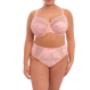 Elomi Brief Mariella Hidden Tiger EL4425