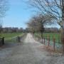 Stock Proof Fencing