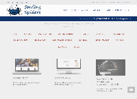 SMILING SPIDERS WEB DESIGN's website