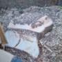 Stump removal
Stump grinding