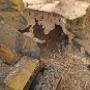Stump removal
Stump grinding