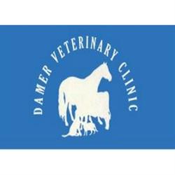 Damer Veterinary Clinic