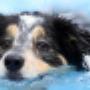 Hydrotherapy Centre
