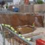 PSDP/Health & Safety