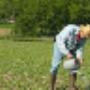 FARM INSURANCE