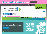 Local Enterprise Office Wexford's website