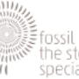Fossil   Stone Specialists