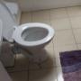 Toilet Cleaning