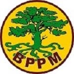 Boyle Payroll Project Management