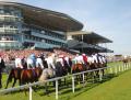 Galway Races Brexit Factor
