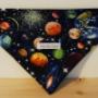 Dog Bandanas