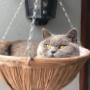 "Veterinary Clinic, Animal Pharmacy, Agri-Retail Store,"