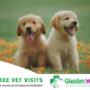 "Veterinary Clinic, Animal Pharmacy, Agri-Retail Store,"