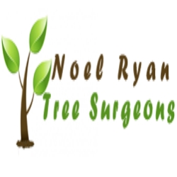 Noel Ryan Tree Surgeon