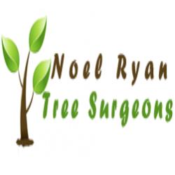 Noel Ryan Tree Surgeon
