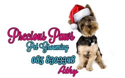 Precious Paws Pet Grooming