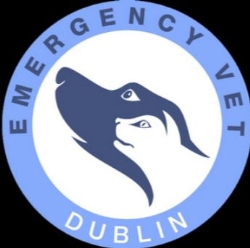 Emergency Vet Dublin