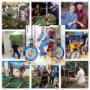 Green Energy Events RHP Events