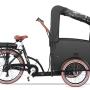 Cargo ebike