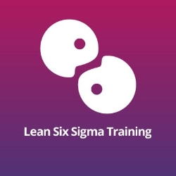 Lean Six Sigma Training