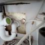 Leaking Pipes