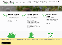 PaymentPlus's website