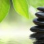 Holistic Therapies Waterford