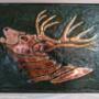 Call of the Stag