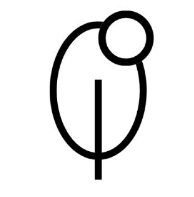 Organicules