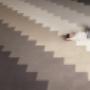 Kitchen Tiles