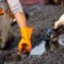Based in Monaghan and offering professional oil cleaning services across Ireland.