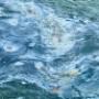 Based in Monaghan and offering professional oil cleaning services across Ireland.