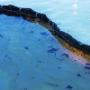 Based in Monaghan and offering professional oil cleaning services across Ireland.