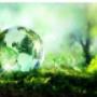 Based in Monaghan and offering professional oil cleaning services across Ireland.